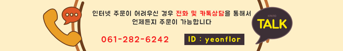 ȭֹ 061-282-6242